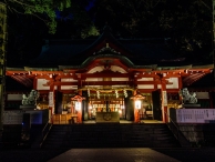 来宮神社で神秘的なライトアップ