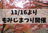 【もみじまつり】日本で最も遅い紅葉