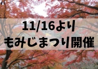 【もみじまつり】日本で最も遅い紅葉